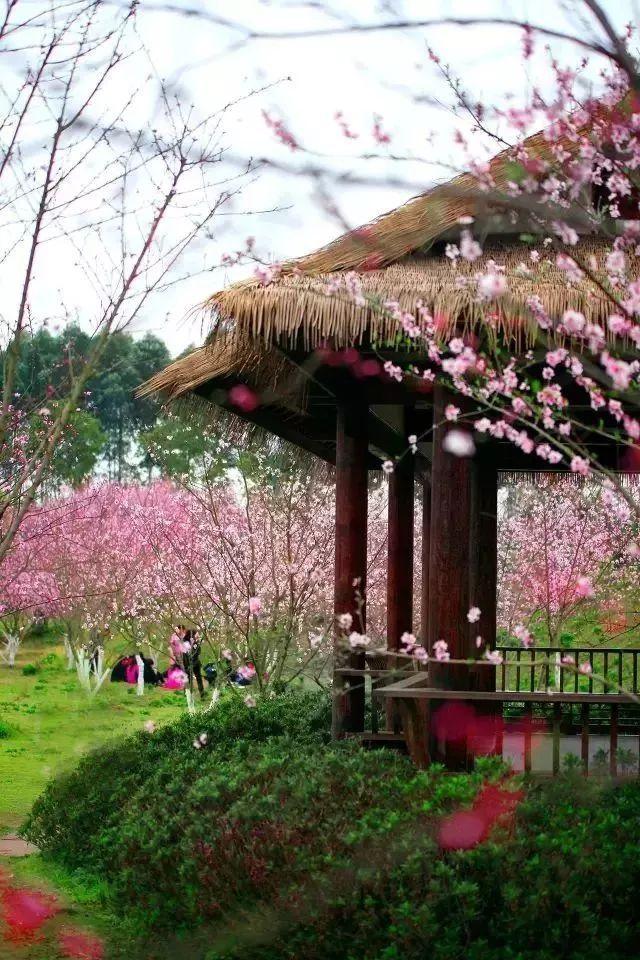 神秘的岛屿
